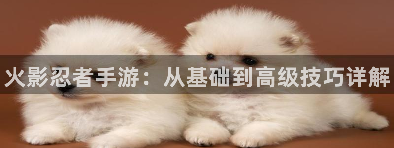 28大神现在是什么：火影忍者手游：从基础到高级技巧详解