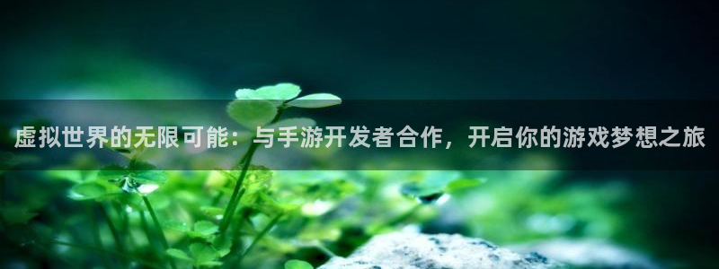 28大神怎么上不去了：虚拟世界的无限可能：与手游开发者合作，