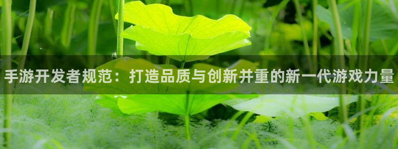 pg国际开奖走势：手游开发者规范：打造品质与创新并重的新一代