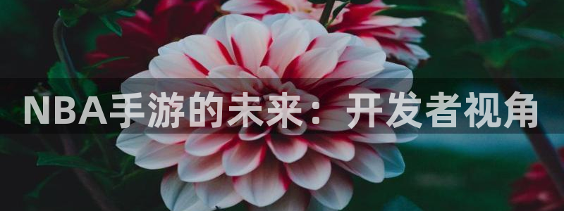 大神吧28预测结果：NBA手游的未来：开发者视角