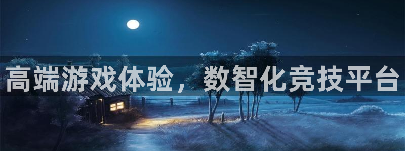 28大神怎么找不到了：高端游戏体验，数智化竞技平台